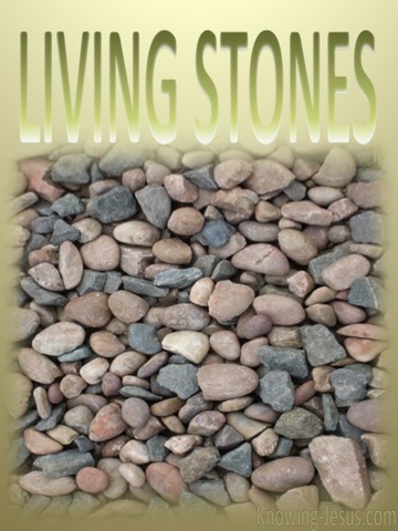 1 Peter 2:5 Living Stones (yellow)